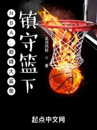 NBA：巅峰大鲨鱼，镇守篮下！